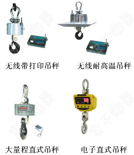 電子吊秤13.jpg